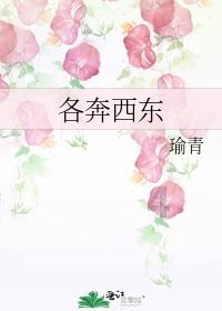 满清九大姓氏去哪里了？