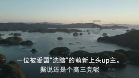 嫁接的枣树被折断了怎么办？